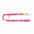 Guia Premium - Kiwi Pequena